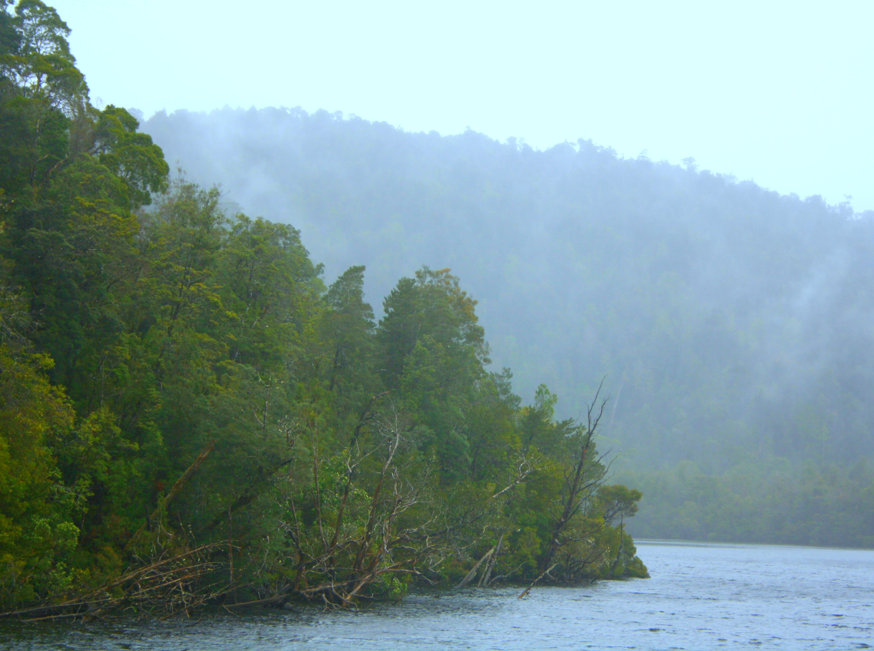 Gordon River