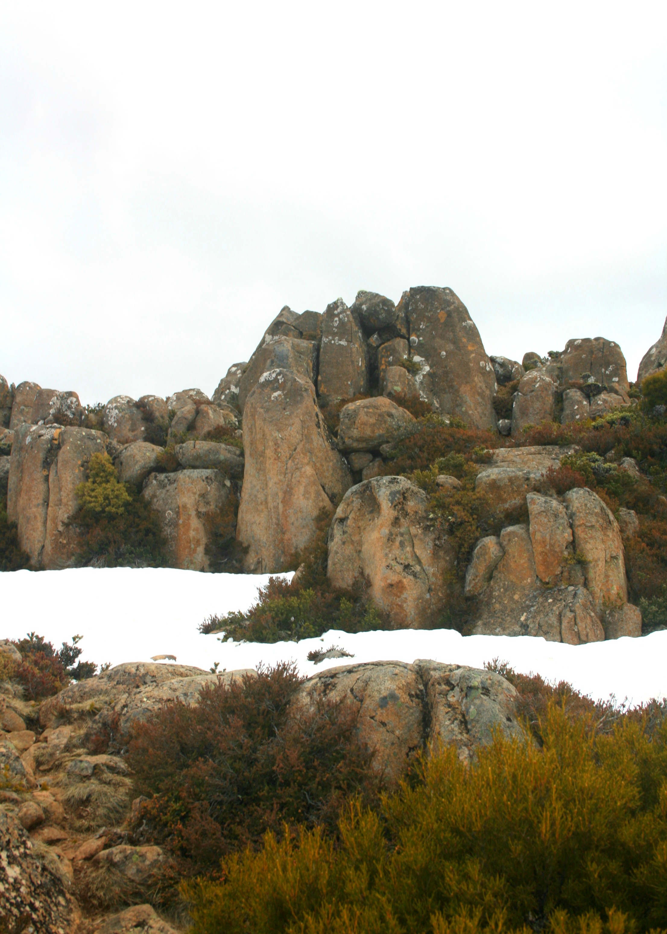 Snow on Mt Wellington