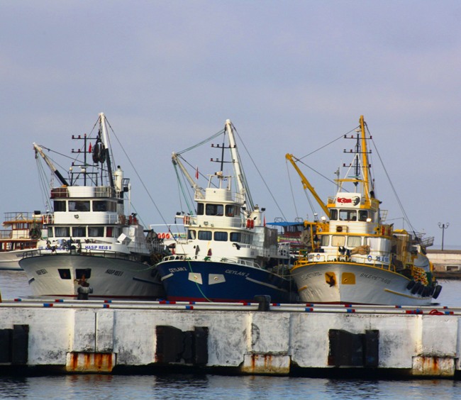 Kusadasi, Fishing trawlers